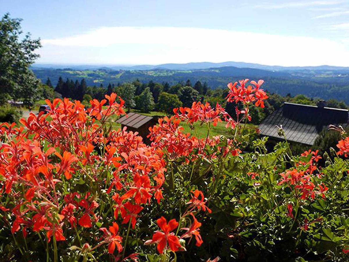Pension Draxlerhof Neuschönau Extérieur photo