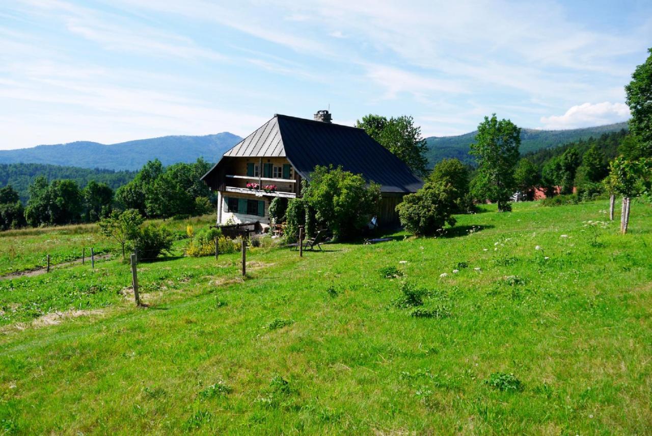 Pension Draxlerhof Neuschönau Extérieur photo